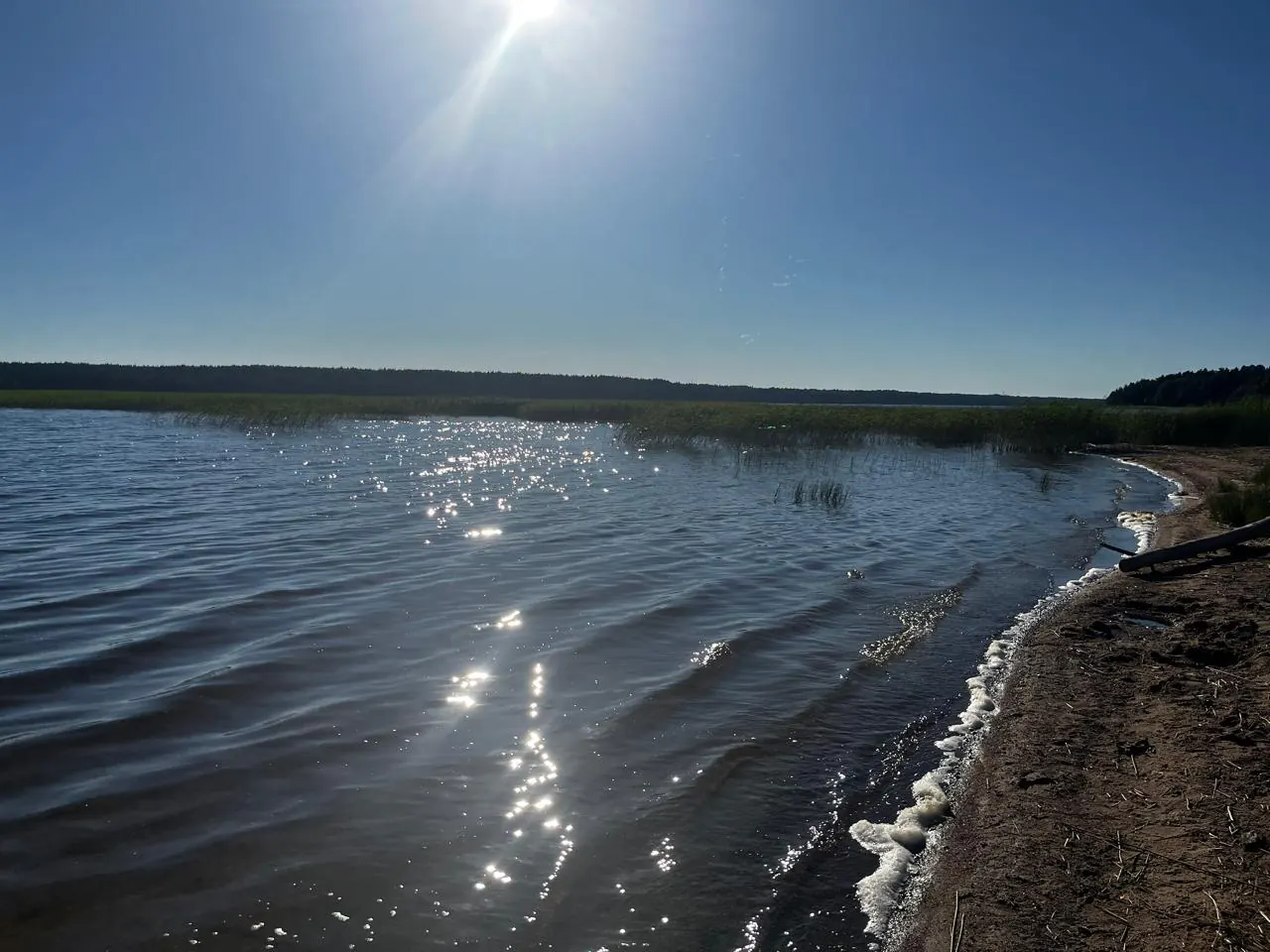 Песчаный берег Александровского озера